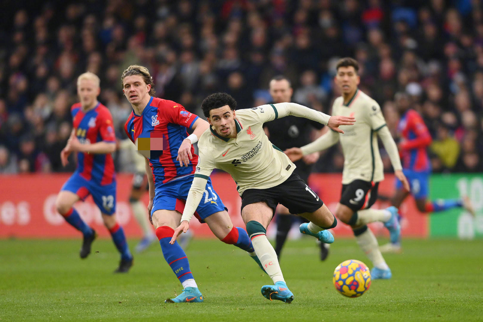 知己知彼 知己知彼